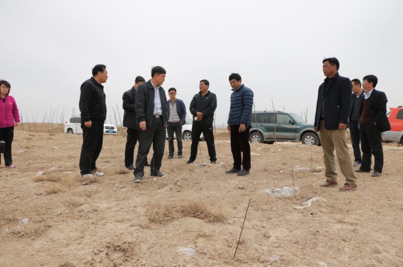 文冠果林區考察圖 文冠果林區考察圖